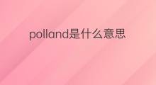 polland是什么意思 polland的中文翻译、读音、例句