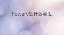 flowery是什么意思 flowery的中文翻译、读音、例句