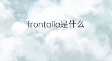 frontalia是什么意思 frontalia的中文翻译、读音、例句