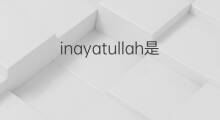 inayatullah是什么意思 inayatullah的中文翻译、读音、例句