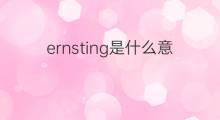 ernsting是什么意思 ernsting的中文翻译、读音、例句