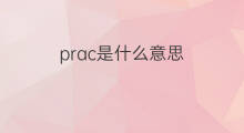 prac是什么意思 prac的中文翻译、读音、例句