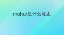 mahur是什么意思 mahur的中文翻译、读音、例句