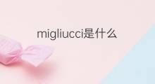 migliucci是什么意思 migliucci的中文翻译、读音、例句