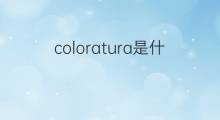 coloratura是什么意思 coloratura的中文翻译、读音、例句