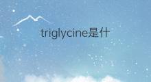 triglycine是什么意思 triglycine的中文翻译、读音、例句