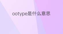 ootype是什么意思 ootype的中文翻译、读音、例句