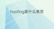 hoofing是什么意思 hoofing的中文翻译、读音、例句