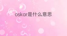 oskar是什么意思 oskar的中文翻译、读音、例句