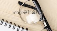 magr是什么意思 magr的中文翻译、读音、例句