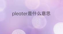 pleater是什么意思 pleater的中文翻译、读音、例句