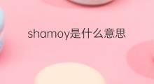 shamoy是什么意思 shamoy的中文翻译、读音、例句
