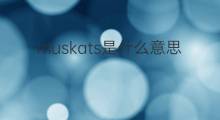 muskats是什么意思 muskats的中文翻译、读音、例句