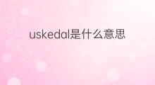 uskedal是什么意思 uskedal的中文翻译、读音、例句