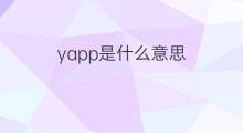 yapp是什么意思 yapp的中文翻译、读音、例句