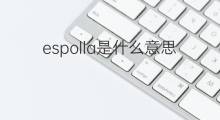 espolla是什么意思 espolla的中文翻译、读音、例句