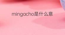 mingacho是什么意思 mingacho的中文翻译、读音、例句