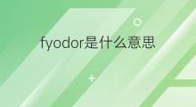 fyodor是什么意思 fyodor的中文翻译、读音、例句