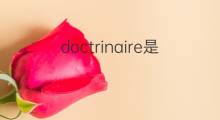 doctrinaire是什么意思 doctrinaire的中文翻译、读音、例句