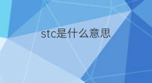 stc是什么意思 stc的中文翻译、读音、例句
