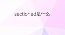 sectioned是什么意思 sectioned的中文翻译、读音、例句