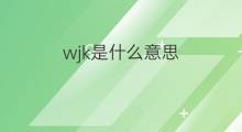 wjk是什么意思 wjk的中文翻译、读音、例句