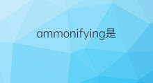 ammonifying是什么意思 ammonifying的中文翻译、读音、例句