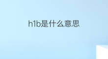 h1b是什么意思 h1b的中文翻译、读音、例句