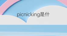 picnicking是什么意思 picnicking的中文翻译、读音、例句