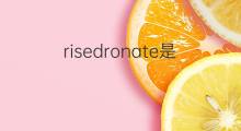 risedronate是什么意思 risedronate的中文翻译、读音、例句