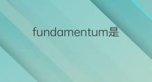 fundamentum是什么意思 fundamentum的中文翻译、读音、例句