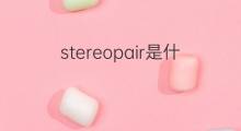 stereopair是什么意思 stereopair的中文翻译、读音、例句