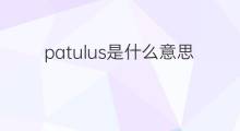 patulus是什么意思 patulus的中文翻译、读音、例句