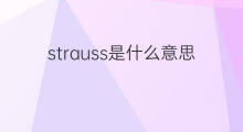 strauss是什么意思 strauss的中文翻译、读音、例句