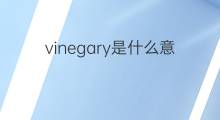 vinegary是什么意思 vinegary的中文翻译、读音、例句