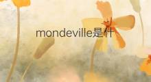 mondeville是什么意思 mondeville的中文翻译、读音、例句