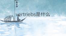vertriebs是什么意思 vertriebs的中文翻译、读音、例句