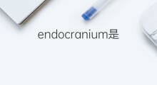 endocranium是什么意思 endocranium的中文翻译、读音、例句
