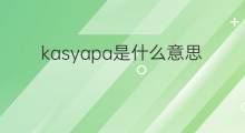 kasyapa是什么意思 kasyapa的中文翻译、读音、例句