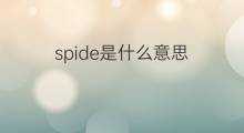 spide是什么意思 spide的中文翻译、读音、例句