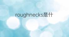 roughnecks是什么意思 roughnecks的中文翻译、读音、例句