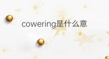 cowering是什么意思 cowering的中文翻译、读音、例句