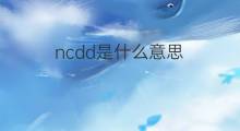 ncdd是什么意思 ncdd的中文翻译、读音、例句