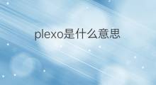 plexo是什么意思 plexo的中文翻译、读音、例句