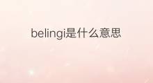 belingi是什么意思 belingi的中文翻译、读音、例句