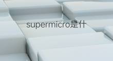supermicro是什么意思 supermicro的中文翻译、读音、例句