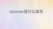anomer是什么意思 anomer的中文翻译、读音、例句