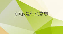pogy是什么意思 pogy的中文翻译、读音、例句