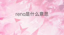 rena是什么意思 rena的中文翻译、读音、例句