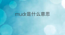 mudr是什么意思 mudr的中文翻译、读音、例句